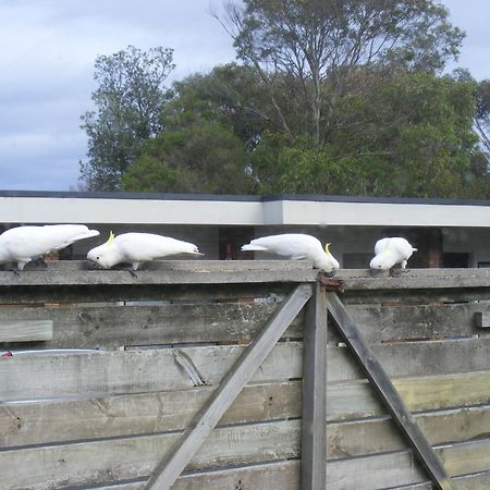 Motel Marengo Apollo Bay Dış mekan fotoğraf