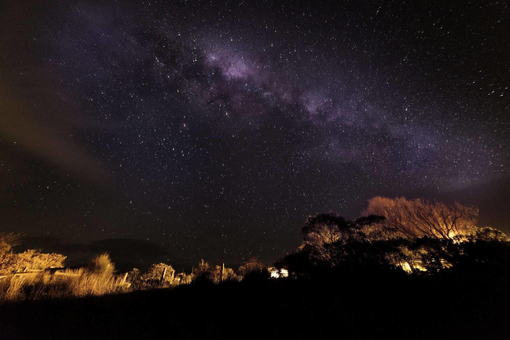 Motel Marengo Apollo Bay Dış mekan fotoğraf